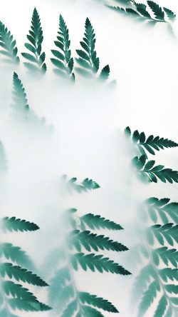 oc53-leaf-hip-minimal-tree-flower-simple-nature
