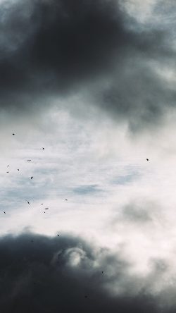 oe01-nature-sky-bird-cloud
