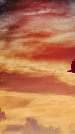 oe36-nature-sunny-sky-cloud-red
