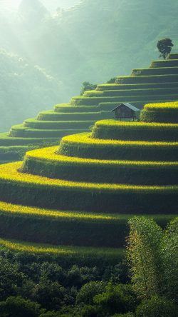of08-nature-farm-green-spring-calm