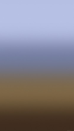 se54-white-gold-dress-gradation-blur
