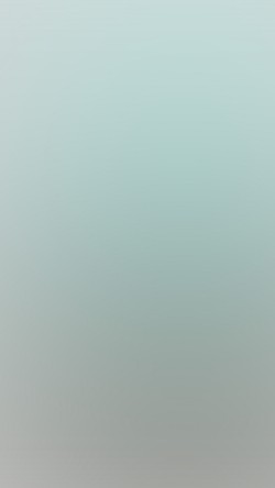 sg46-flesh-inside-white-green-calm-gradation-blur