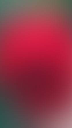 sh57-red-rose-drop-gradation-blur