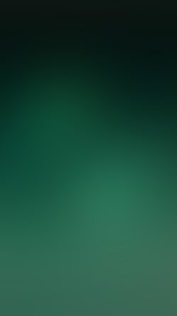 sl17-green-space-blur-gradation