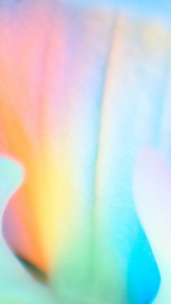sn96-flower-macro-pastel-blur-gradation