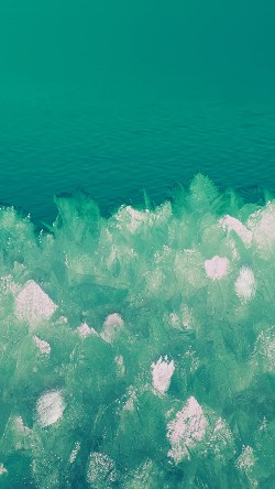 vj10-samsung-galaxy-6-background-pattern-green-ice