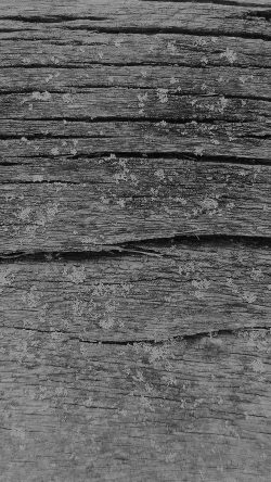 vj33-wood-art-nature-pattern-dark-bw