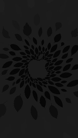 vj79-apple-store-leafs-art-pattern-bw-dark