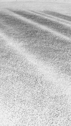 vj88-lawn-grass-sunlight-green-white-pattern