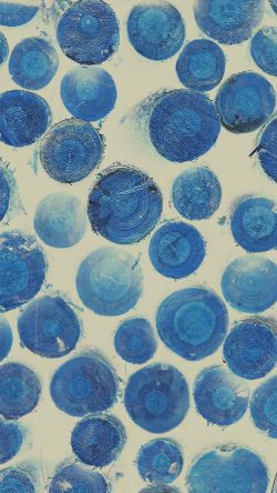 vk19-wood-circle-piles-nature-white-blue-pattern