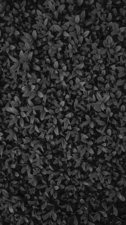 vk74-nature-dark-bw-leaf-grass-garden-flower-pattern