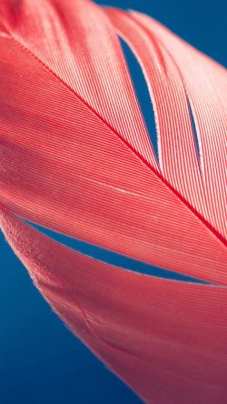vm99-moto-x-style-bird-feather-pattern-blue