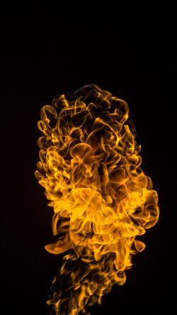 vo99-fire-chicken-dark-pattern