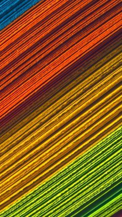 vq51-rainbow-blocks-texture-pattern