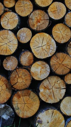 vr10-wood-nature-cut-pattern-dark