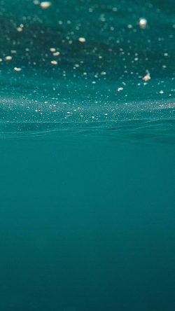 vt59-sea-water-green-under-pattern