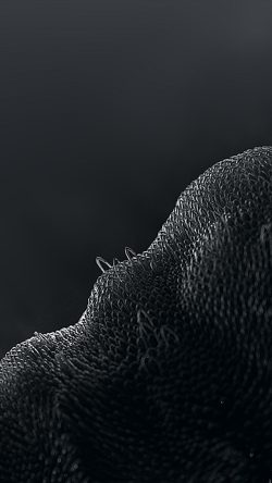 vx44-texture-skin-dark-pattern-background