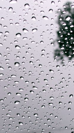 wb73-rain-drop-cold-pattern-background-summer